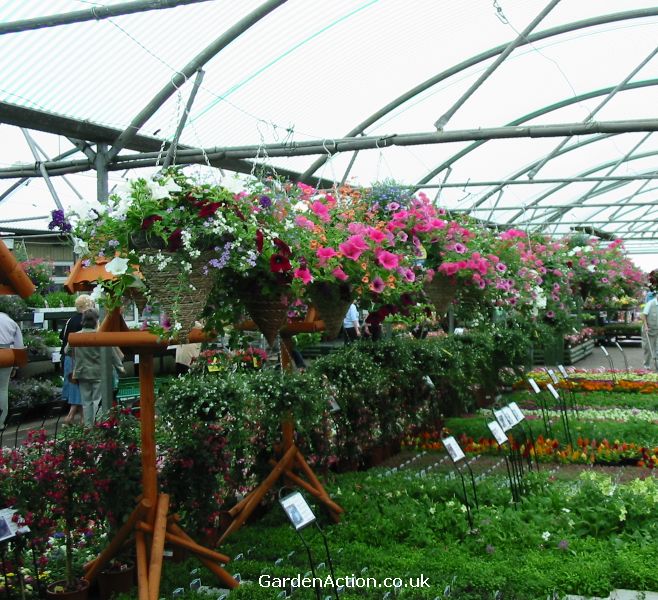 Hilltop garden centre, Coventry